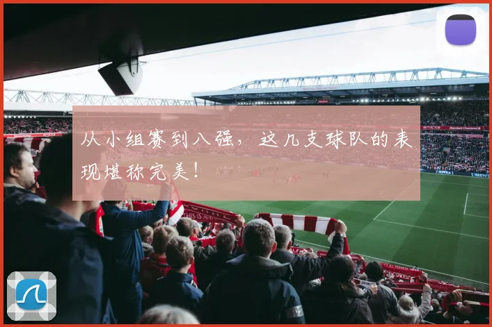 从小组赛到八强，这几支球队的表现堪称完美！