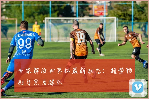 专家解读世界杯最新动态：趋势预测与黑马球队